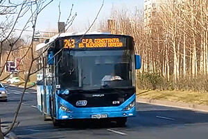 autobuz 243